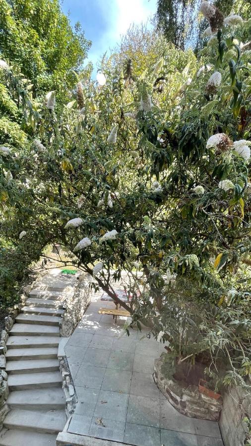 Au Jardin De La Basilique Apartment Boulogne-sur-Mer Luaran gambar