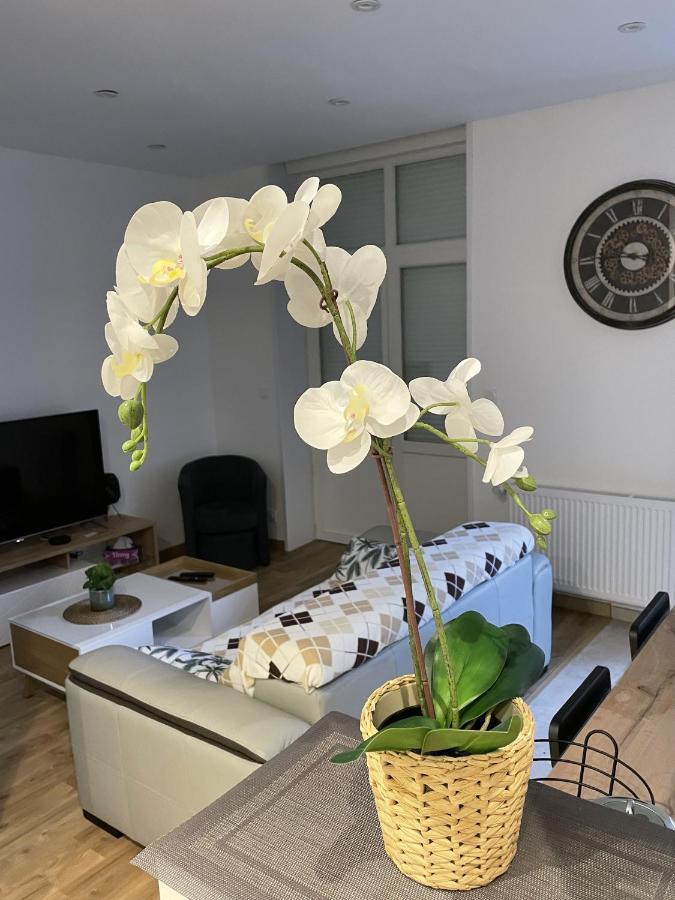 Au Jardin De La Basilique Apartment Boulogne-sur-Mer Luaran gambar