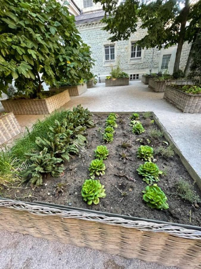 Au Jardin De La Basilique Apartment Boulogne-sur-Mer Luaran gambar
